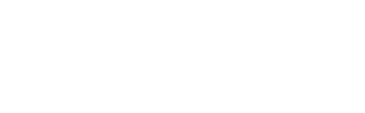 White Stray Media logo